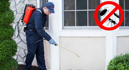 Büyükçekmece Hamam Böceği İlaçlama böcek ilaçlama ve haşere kontrolü — ilaclama-tr.com